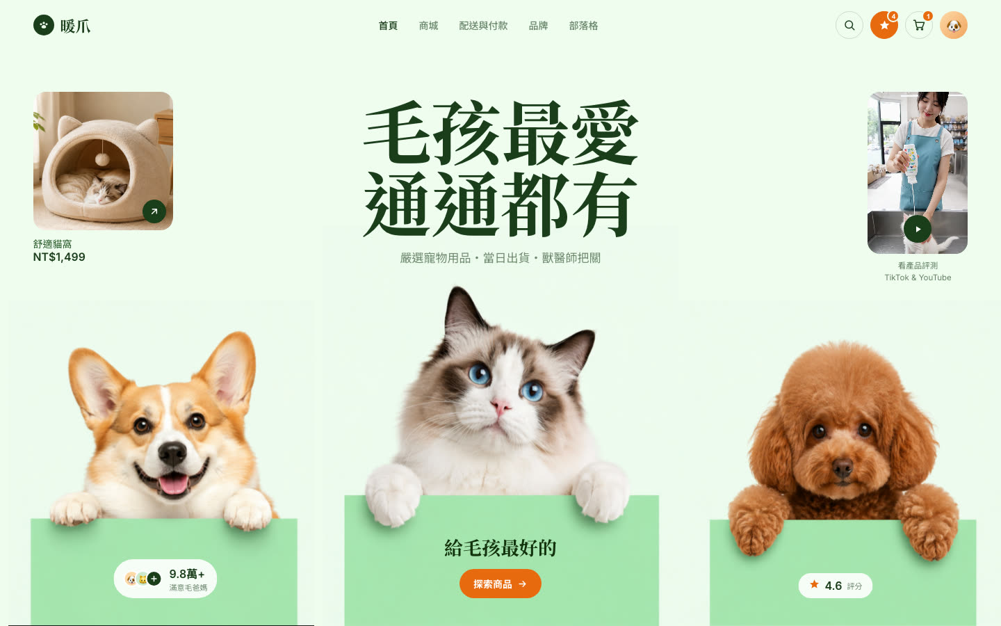 明亮寵物店風格靜態預覽